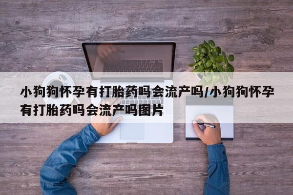 打胎药私人店微信资讯 第17页