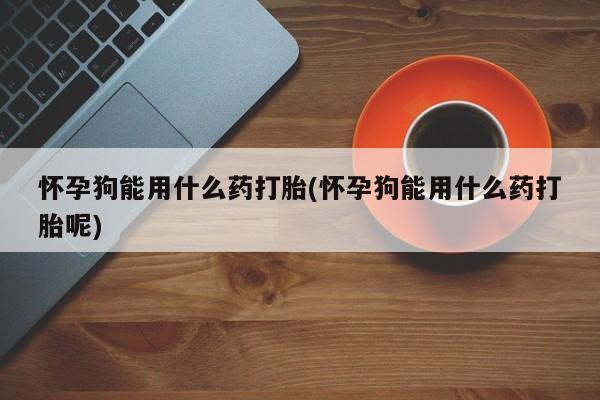 打胎药私人店微信怀孕狗能用什么药打胎(怀孕狗能用什么药打胎呢)